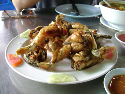 คลิ๊กที่ภาพ