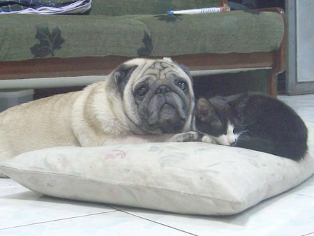 คลิ๊กที่ภาพ