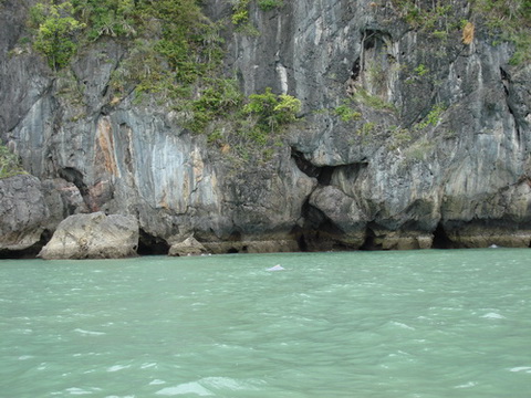 คลิ๊กที่ภาพ