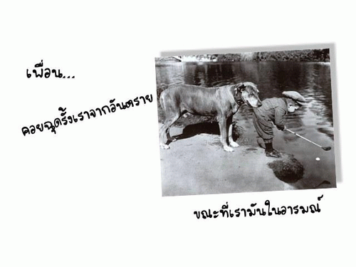 คลิ๊กที่ภาพ