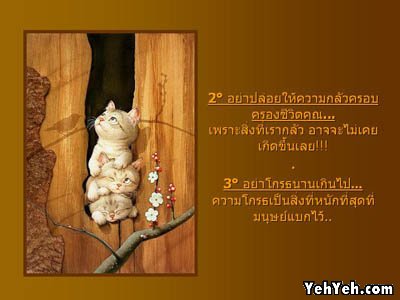 คลิ๊กที่ภาพ