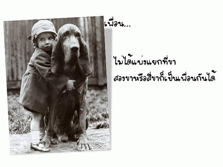 คลิ๊กที่ภาพ