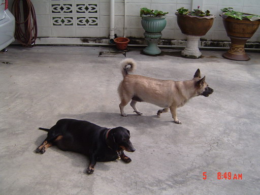 คลิ๊กที่ภาพ