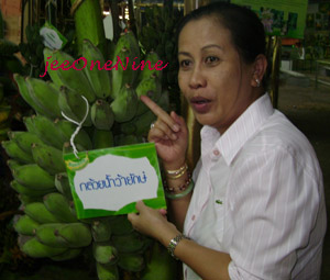 คลิ๊กที่ภาพ