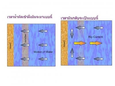 คลิ๊กที่ภาพ